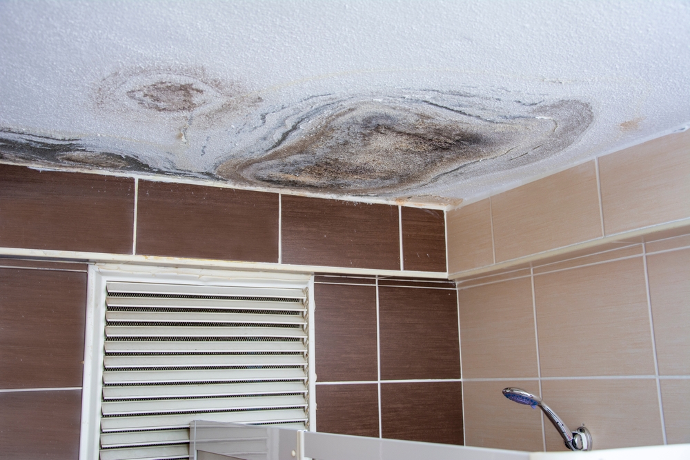 How to Get Rid of Mildew on Bathroom Ceiling