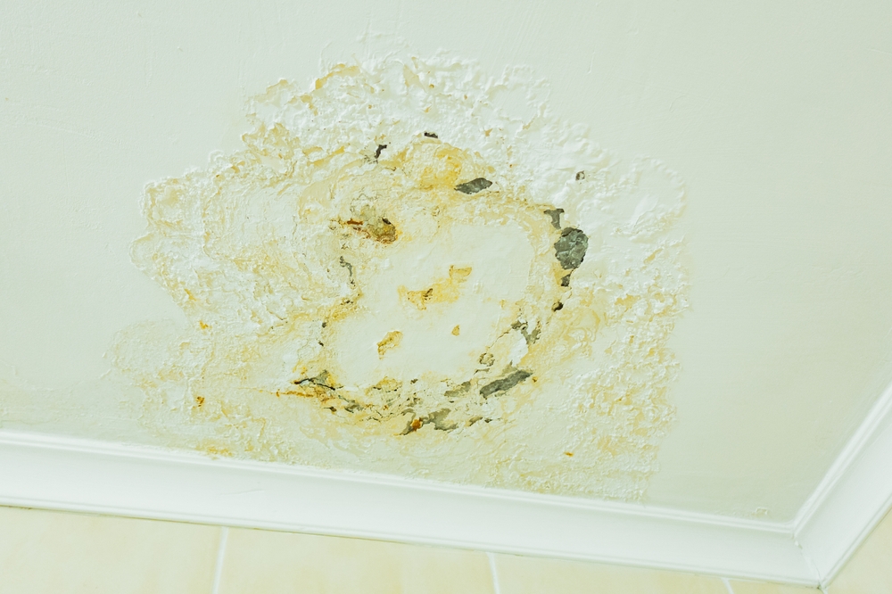 How to Get Rid of Mould in Bathroom Ceiling